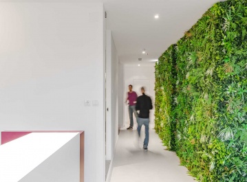 Volkswagen Digital Solutions